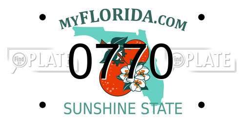 0770 Florida License Plate