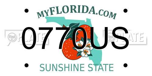 0770US Florida License Plate