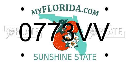 0773VV Florida License Plate