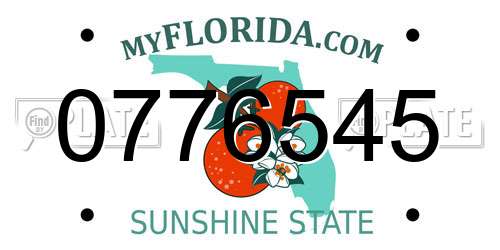 0776545 Florida License Plate