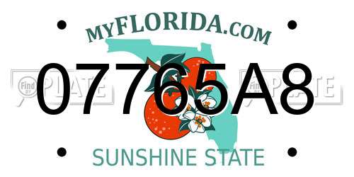 07765A8 Florida License Plate
