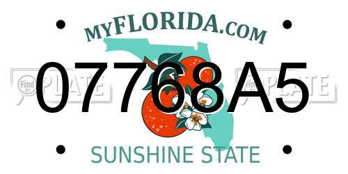 07768A5 Florida License Plate