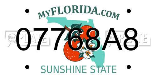 07768A8 Florida License Plate