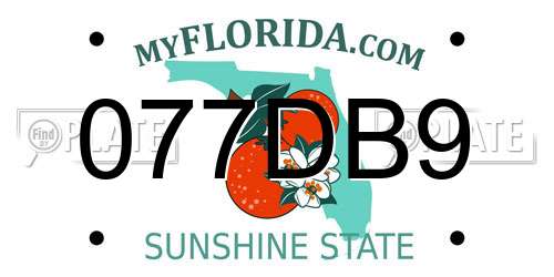 077DB9 Florida License Plate