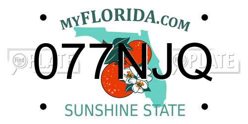 077NJQ Florida License Plate