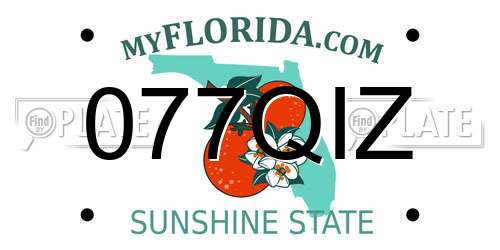 077QIZ Florida License Plate