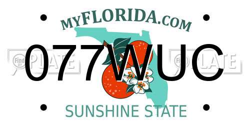 077WUC Florida License Plate