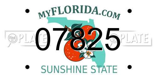 07825 Florida License Plate