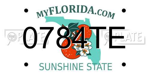 0784TE Florida License Plate