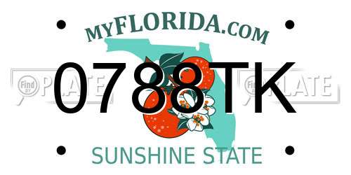 0788TK Florida License Plate
