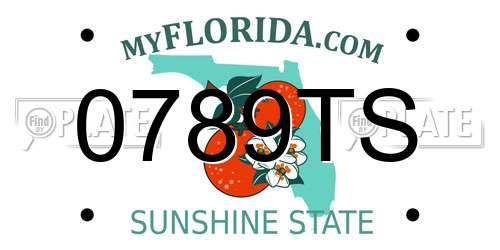 0789TS Florida License Plate