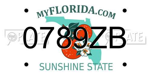 0789ZB Florida License Plate