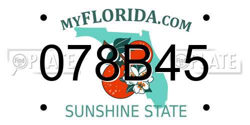 078B45 Florida License Plate