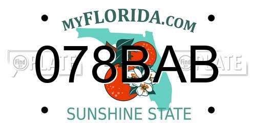 078BAB Florida License Plate