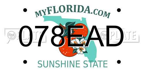 078EAD Florida License Plate