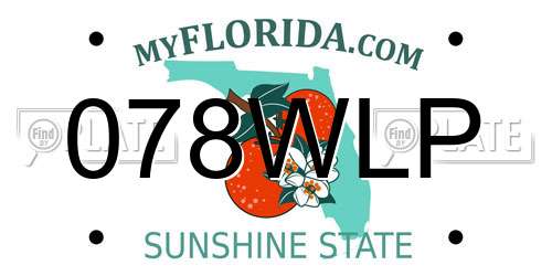 078WLP Florida License Plate