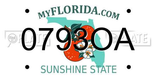 0793OA Florida License Plate
