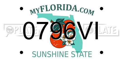 0796VI Florida License Plate
