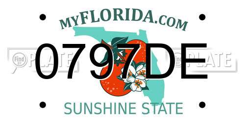 0797DE Florida License Plate