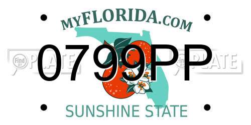 0799PP Florida License Plate