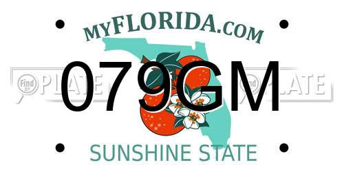 079GM Florida License Plate