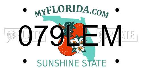 079LEM Florida License Plate