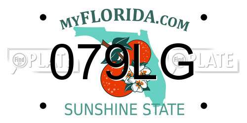 079LG Florida License Plate