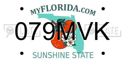 079MVK Florida License Plate