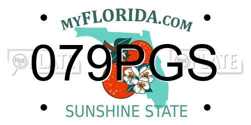 079PGS Florida License Plate