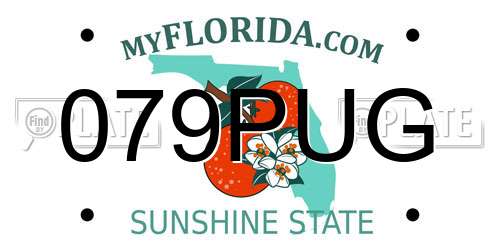 079PUG Florida License Plate