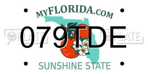 079TDE Florida License Plate