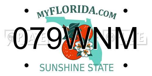 079WNM Florida License Plate