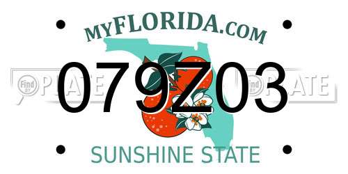 079Z03 Florida License Plate