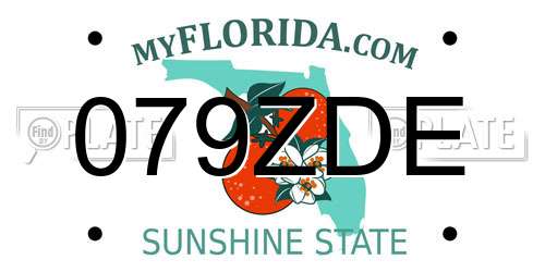 079ZDE Florida License Plate