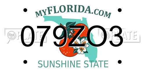 079ZO3 Florida License Plate