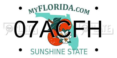 07ACFH Florida License Plate
