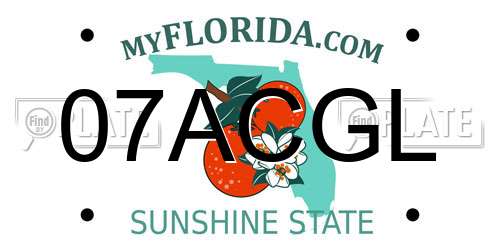 07ACGL Florida License Plate