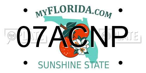 07ACNP Florida License Plate