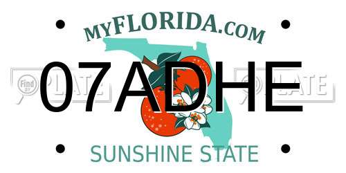 07ADHE Florida License Plate