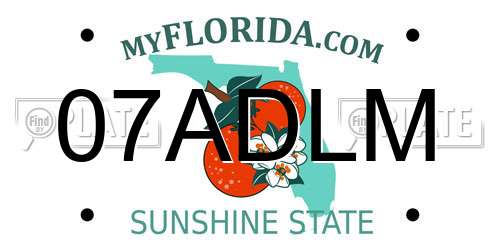 07ADLM Florida License Plate