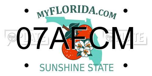 07AFCM Florida License Plate
