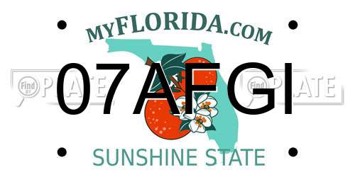 07AFGI Florida License Plate