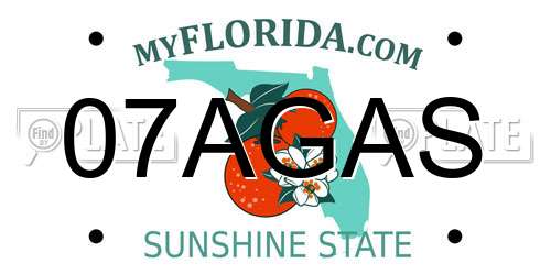 07AGAS Florida License Plate
