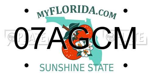 07AGCM Florida License Plate