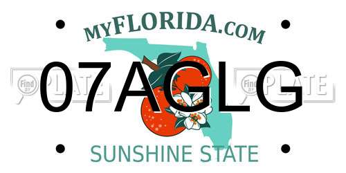 07AGLG Florida License Plate