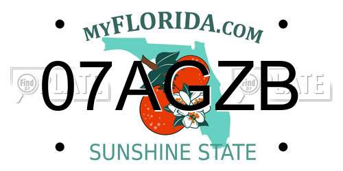 07AGZB Florida License Plate