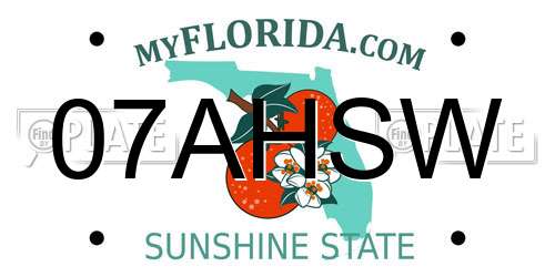 07AHSW Florida License Plate