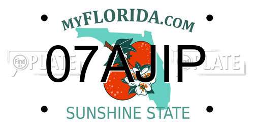 07AJIP Florida License Plate