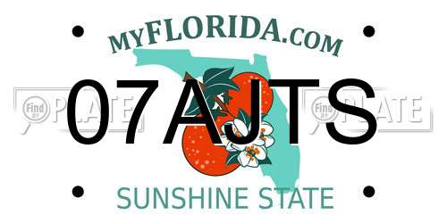 07AJTS Florida License Plate