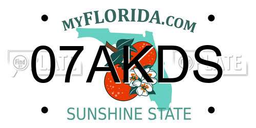 07AKDS Florida License Plate
